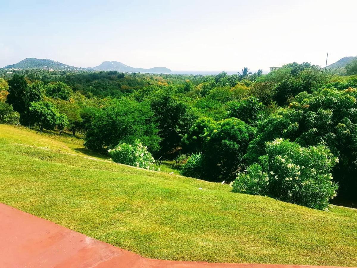 Sunny Palm Villas Laborie Εξωτερικό φωτογραφία